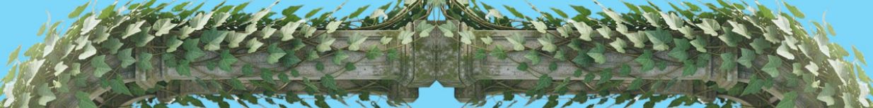 Emma-Vines Emma-Vines