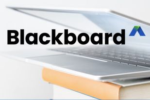 Backboard NPC Orientation Backboard NPC Orientation