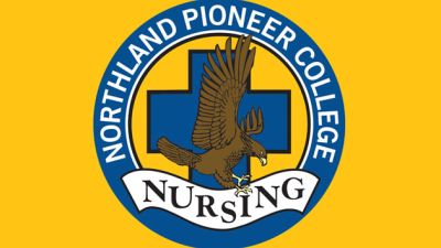 Nursing Logo